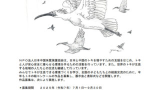 2026年　石川県能登地域でのトキ放鳥決定記念！はばたけ大空へ“トキの絵コンクール”作品募集　