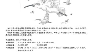 本州初！トキ放鳥記念　はばたけ大空へ“トキの絵コンクール”作品募集